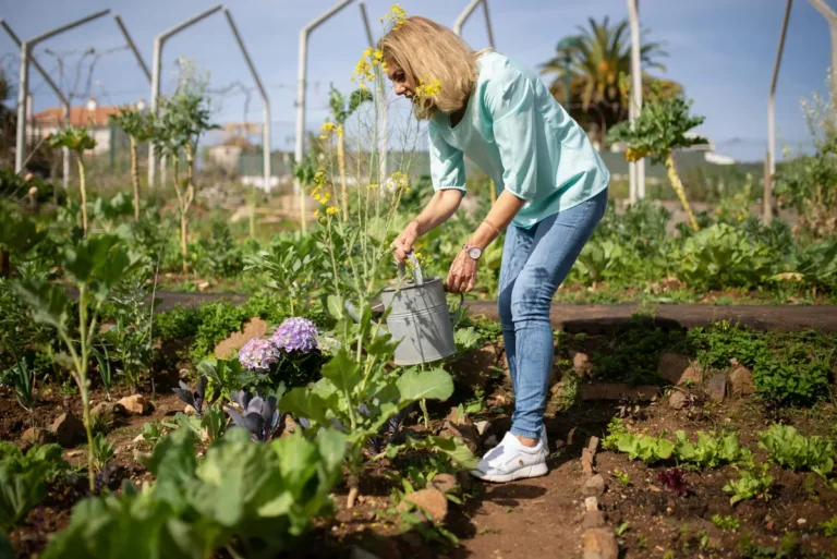 Read more about the article What Does Gardening Mean?