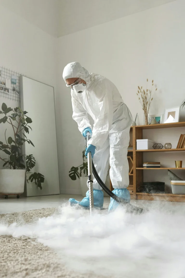 Read more about the article 10 secrets of a carpet cleaner
