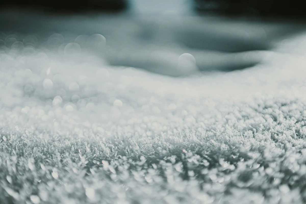 You are currently viewing Over-Wetting the Carpet