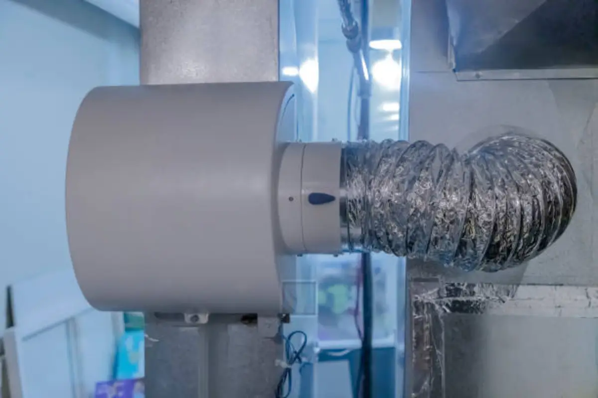 You are currently viewing How to Maintain Your Humidifier’s Longevity: