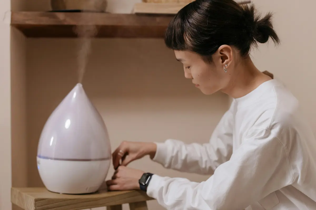 You are currently viewing Effective Ways to Use a Humidifier