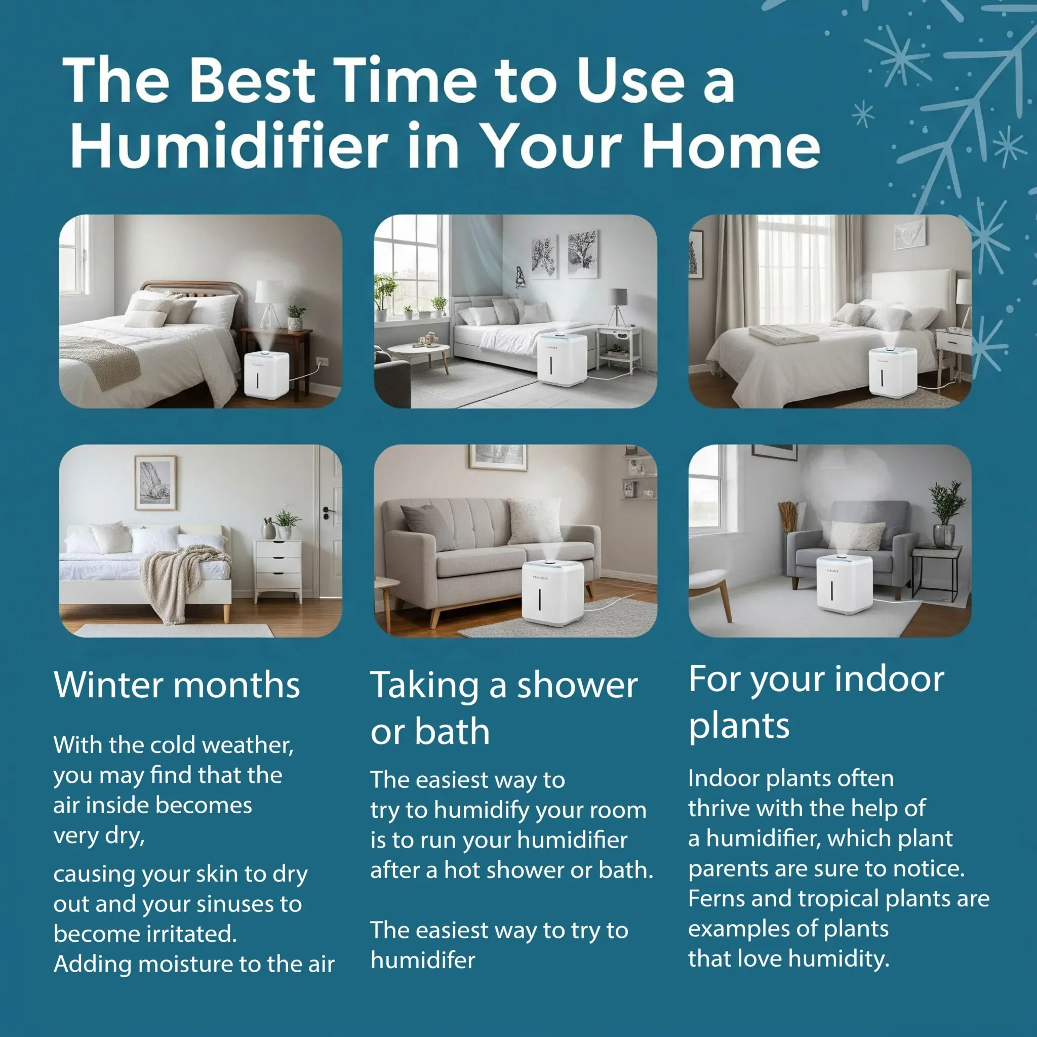 You are currently viewing The Best Time to Use a Humidifier in Your Home