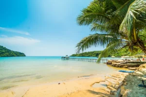 Read more about the article Why Lifestyle Tropical Beach Resort Must Be Visited