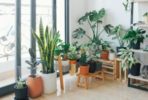 Read more about the article Genius Home Garden Tips to Immediately Upgrade Your Backyard 