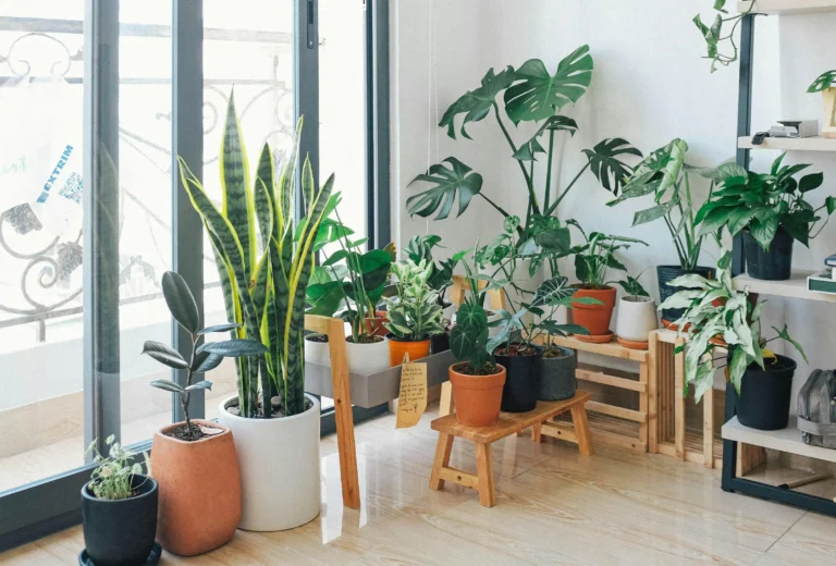 Read more about the article Genius Home Garden Tips to Immediately Upgrade Your Backyard 